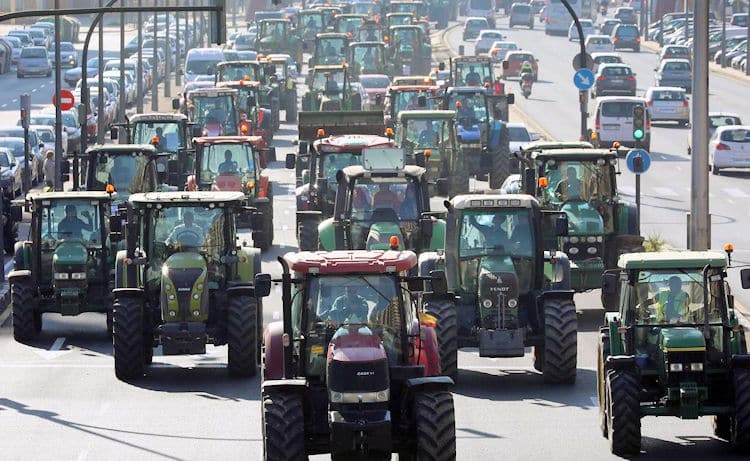 2025 – UN AÑO PARA LUCHAR