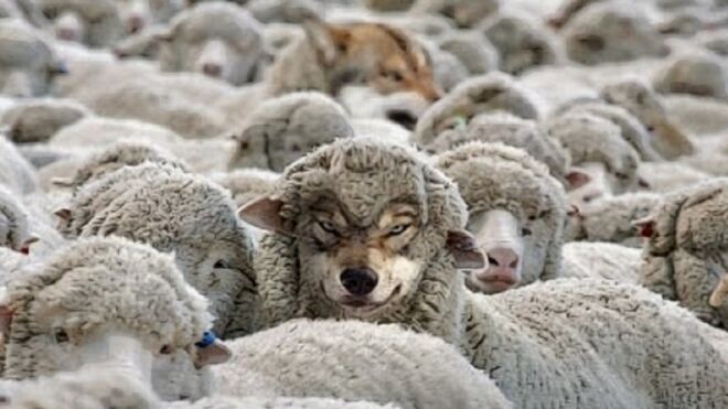 EL KIT DE LA DEMENCIA