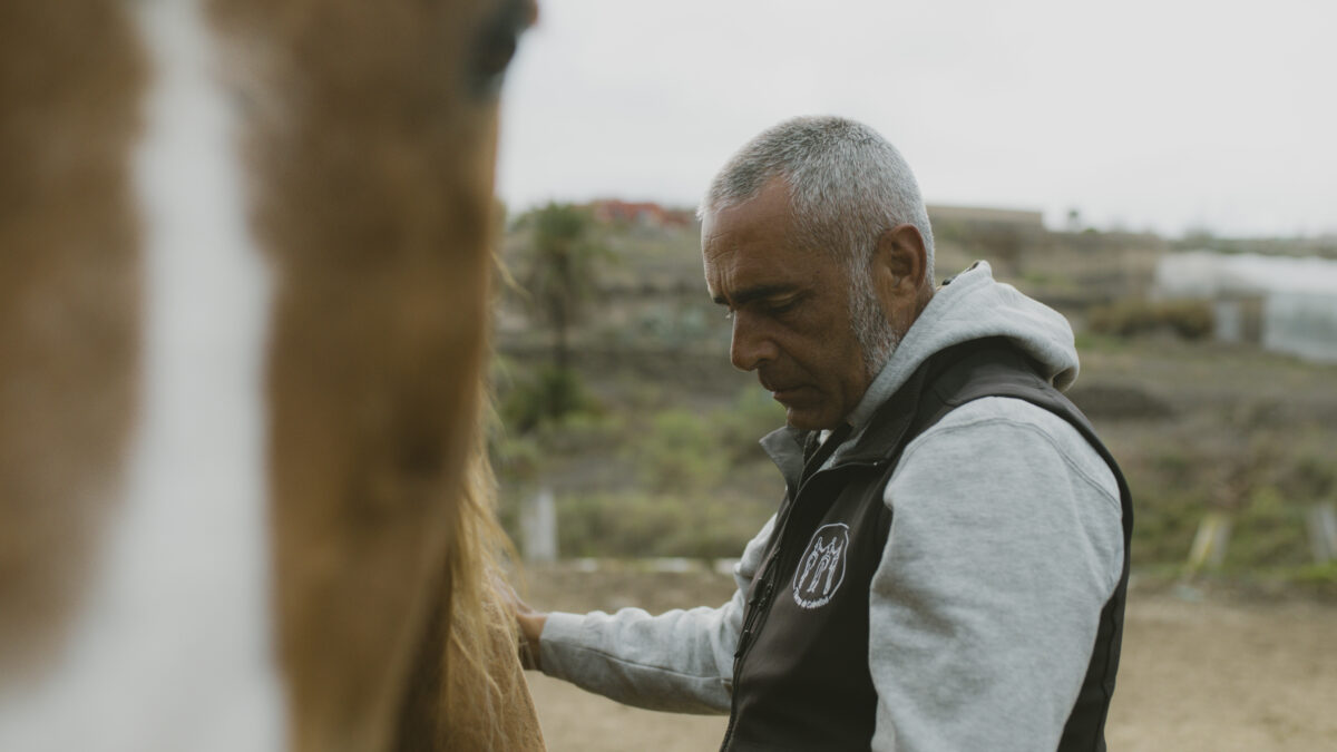TIERRA DE CABALLOS